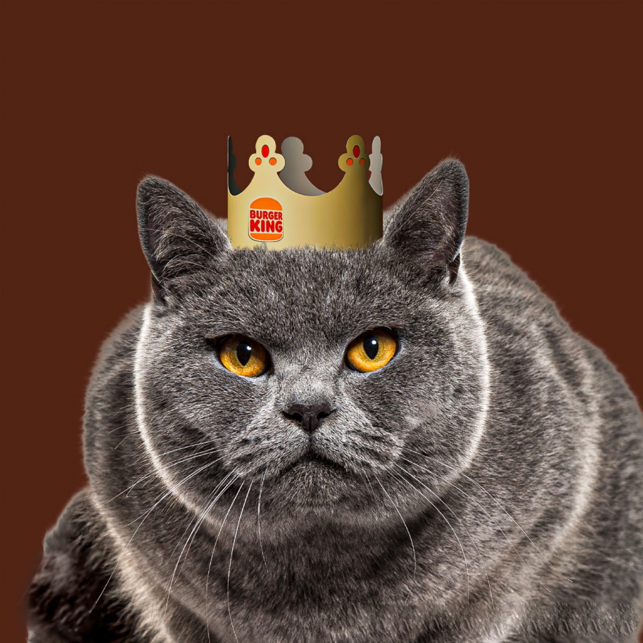 Michi King