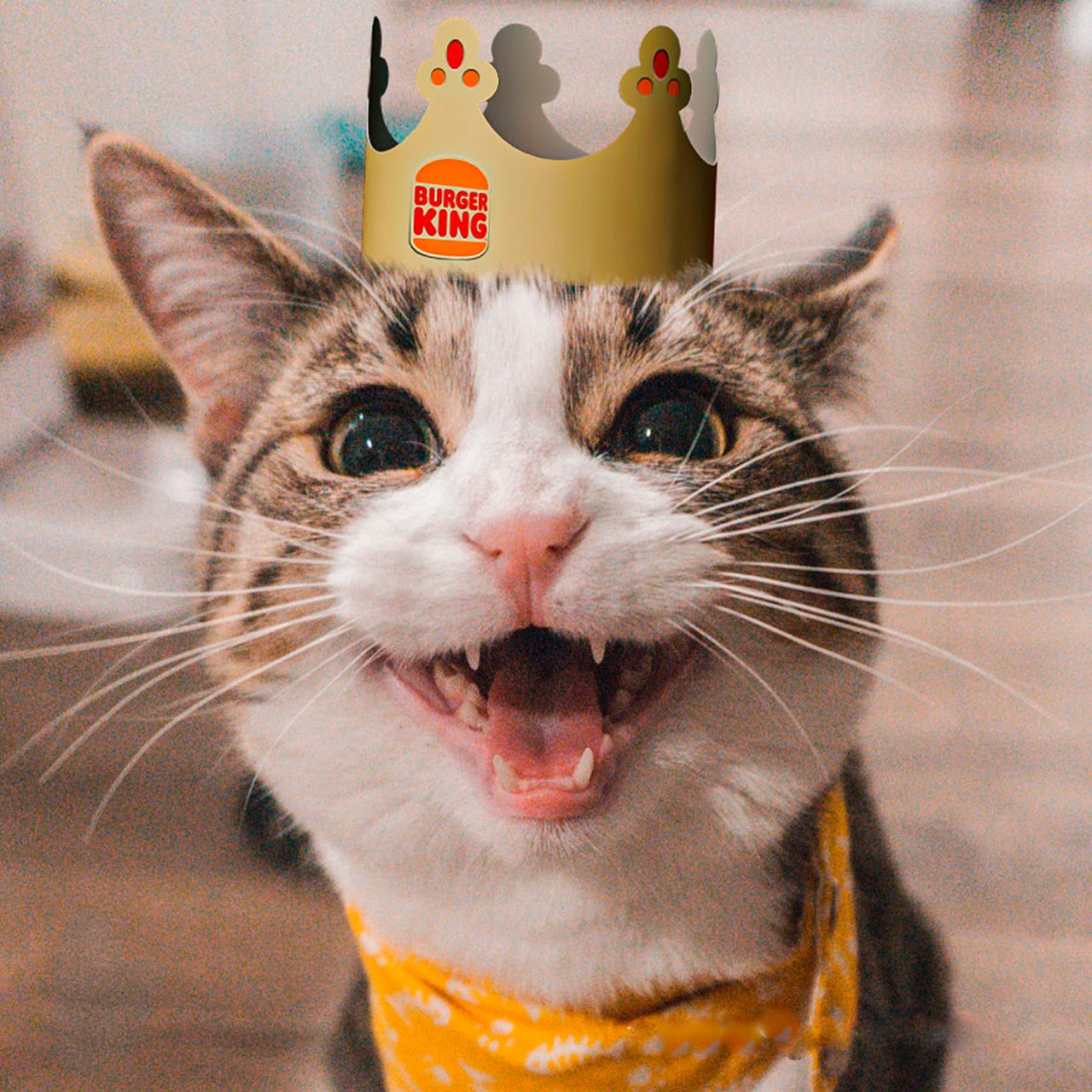 Michi King