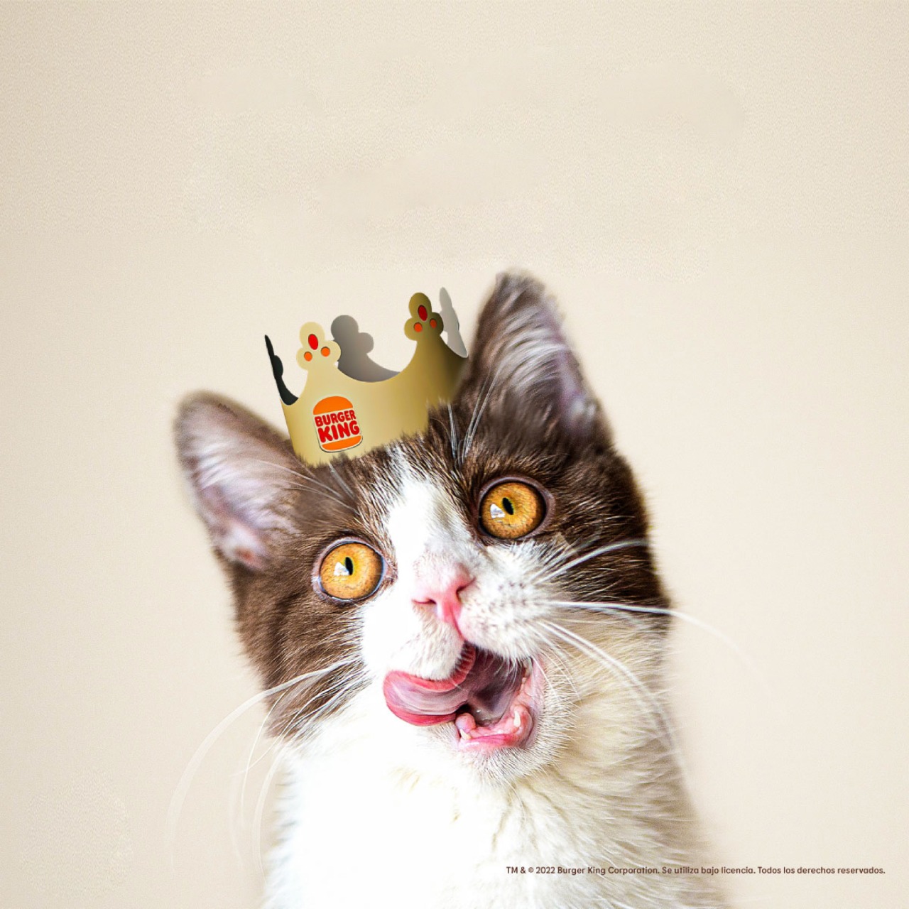 Michi King